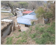  2025Ÿ��612  �������