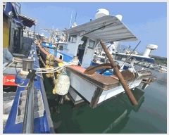  2025Ÿ��650 ���ر� â���� ������        ���ڰ��