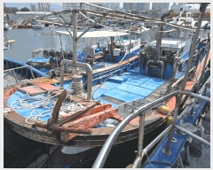  2025Ÿ��650 ���ر� â���� ������        ���ڰ��