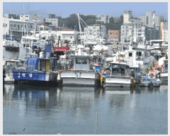  2025Ÿ��650 ���ر� â���� ������        ���ڰ��