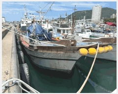  2025Ÿ��697  ���ڰ��