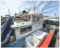  2025Ÿ��697  ���ڰ��