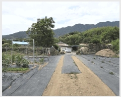  2025Ÿ��704 �泲 �ϵ��� �Ǿ�� �Լ��� 570      ����(�Ӿ�)���