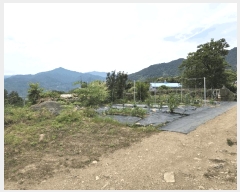  2025Ÿ��704 �泲 �ϵ��� �Ǿ�� �Լ��� 570      ����(�Ӿ�)���