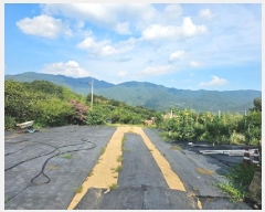  2025Ÿ��704 �泲 �ϵ��� �Ǿ�� �Լ��� 570      ����(�Ӿ�)���