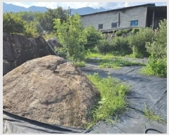  2025Ÿ��704 �泲 �ϵ��� �Ǿ�� �Լ��� 570      ����(�Ӿ�)���