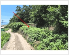  2025Ÿ��765  �����