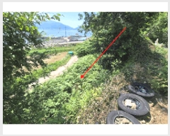  2025Ÿ��765  �����