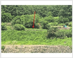  2025Ÿ��765  �����