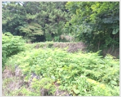  2025Ÿ��765  �����