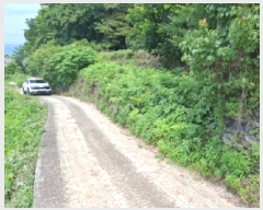  2025Ÿ��765  �����