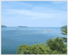  2025Ÿ��769 �泲 ���ر� ������ ������       ����ǰ��