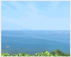  2025Ÿ��769 �泲 ���ر� ������ ������       ����ǰ��