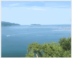  2025Ÿ��769 �泲 ���ر� ������ ������       ����ǰ��