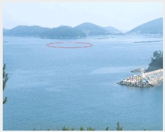  2025Ÿ��769 �泲 ���ر� ������ ������       ����ǰ��