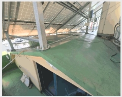  2025Ÿ��770  ���ڽü����