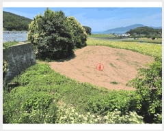  2025Ÿ��788  �������