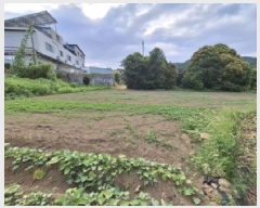  2025Ÿ��788  �������