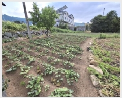  2025Ÿ��788  �������