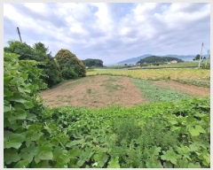  2025Ÿ��788  �������