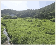  2025Ÿ��792 �泲 ���ر� �ﵿ�� �ݼ۸� 312      ����(��)���