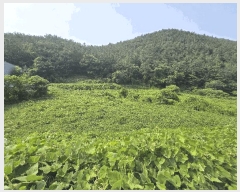  2025Ÿ��792 �泲 ���ر� �ﵿ�� �ݼ۸� 312      ����(��)���