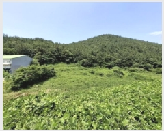  2025Ÿ��792 �泲 ���ر� �ﵿ�� �ݼ۸� 312      ����(��)���