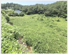  2025Ÿ��792 �泲 ���ر� �ﵿ�� �ݼ۸� 312      ����(��)���