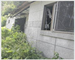  2025Ÿ��795  ���ð��