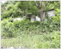  2025Ÿ��795  ���ð��