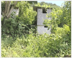  2025Ÿ��795  ���ð��