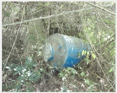  2025Ÿ��795  ���ð��