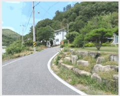  2025Ÿ��795  ���ð��