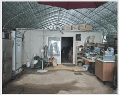  2025Ÿ��797  �����