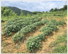  2025Ÿ��800  �����