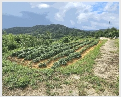  2025Ÿ��800  �����