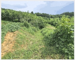  2025Ÿ��800  �����