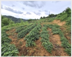  2025Ÿ��800  �����