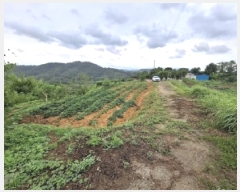  2025Ÿ��800  �����