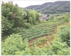  2025Ÿ��800  �����