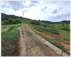  2025Ÿ��800  �����