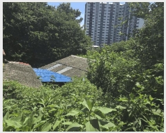  2025Ÿ��804  ���ð��