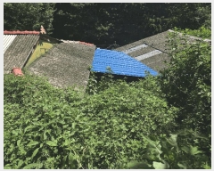  2025Ÿ��804  ���ð��