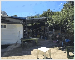  2025Ÿ��817 �泲 �ϵ��� �Ǿ�� �Լ��� 573      ����(����)���