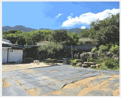  2025Ÿ��817 �泲 �ϵ��� �Ǿ�� �Լ��� 573      ����(����)���