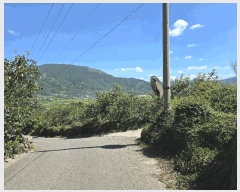  2025Ÿ��817 �泲 �ϵ��� �Ǿ�� �Լ��� 573      ����(����)���