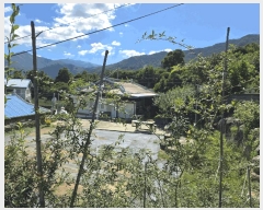  2025Ÿ��817 �泲 �ϵ��� �Ǿ�� �Լ��� 573      ����(����)���