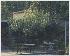  2025Ÿ��817 �泲 �ϵ��� �Ǿ�� �Լ��� 573      ����(����)���