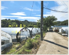  2025Ÿ��821 �泲 ���ֽ� ����� ȿ�ڸ� 417      ����(��)���