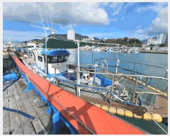  2025Ÿ��846 ��õ�� ������         ���ڰ��